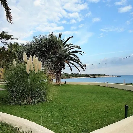 Nora, 1 * Agios Spyridon (Corfu)